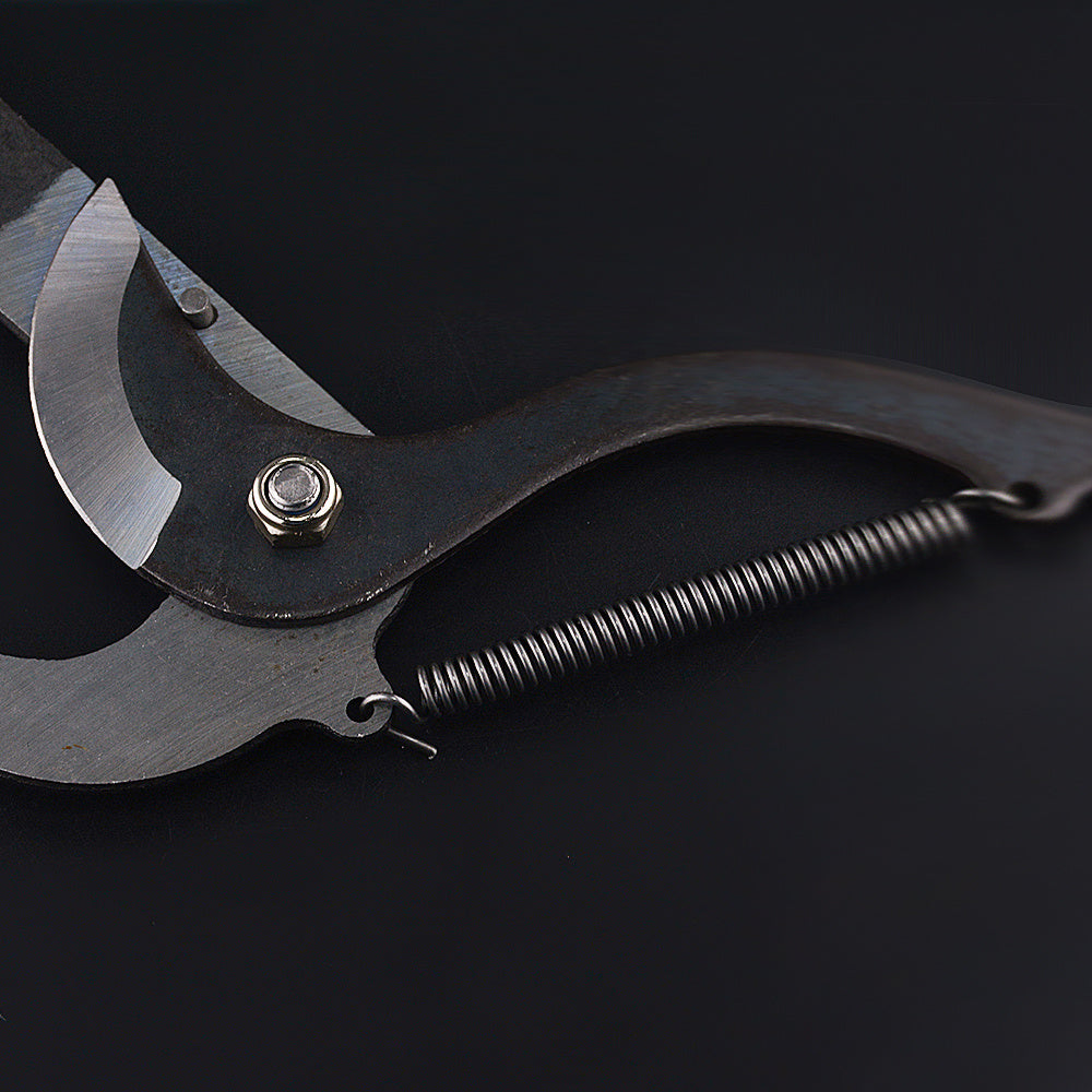 Astschere für Höhenarbeit