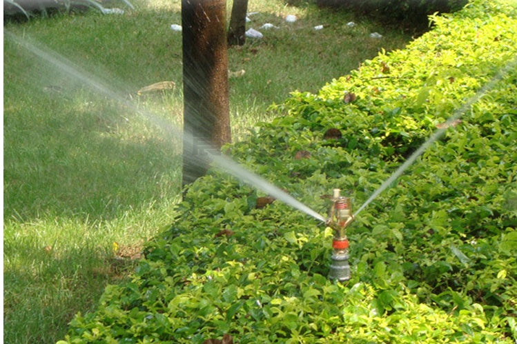 Sprüh-Wasserdüsenkopf – Effiziente Bewässerung für Ihren Garten!